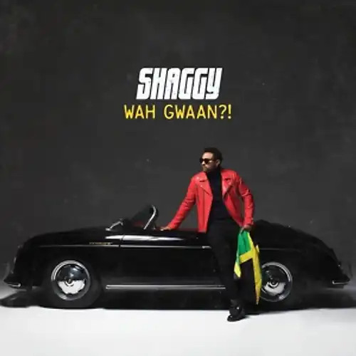 Shaggy wah gwaan - shaggy,